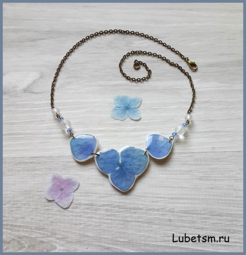 Голубая Гортензия